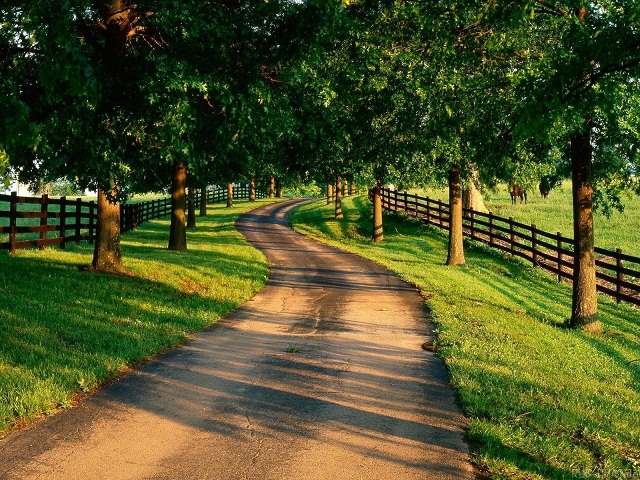 电话网页在线轰炸源码